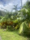 IMG_3451.jpg