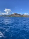 IMG_3526.jpg