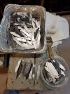 Clip Blades Nail Marks WIP.jpg