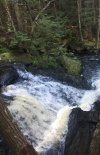 48F72630-75DC-4C81-BA9C-47692E6604E1.jpeg