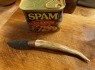 IMG_0637.jpg