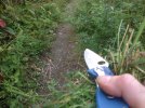 IMG_2511.JPG