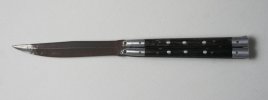 balisong301.jpg balisong301.jpg