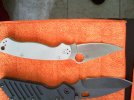 pm2.jpg
