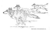 RunningWolves.jpg RunningWolves.jpg
