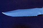 sog_seal2000_blade1.jpg