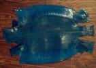 IMG_20120331_211657-1.jpg
