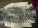 IMG_20120331_211248.jpg