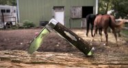 Bayonne & horses - 1.jpeg