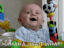 wot.gif