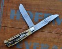 GEC Burnt Stag _385.JPG