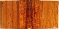 desert ironwood burl scales SET #0228G.jpg