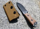 KaBarBK11m_CoyoteTopOblique33.jpg KaBarBK11m_CoyoteTopOblique33.jpg