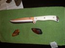 Busse #1.jpg