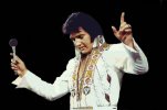 Elvis.jpg