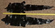 IMG_20120409_231001.jpg