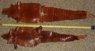 IMG_20120409_231040.jpg