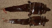 IMG_20120409_231100.jpg