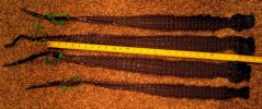 IMG_20120409_220442-1.jpg