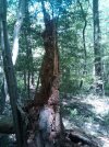 IMG-20120412-00120.jpg