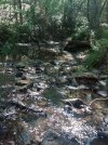 IMG-20120412-00107.jpg