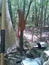 IMG-20120412-00117.jpg
