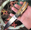 thumbnail_IMG_8344.png