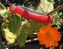 Q70_micarta-soui.jpg