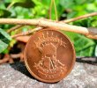 patina copper challemge heads.jpg