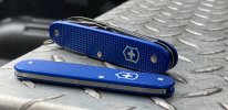 BlueAlox2.JPG