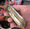 thumbnail_IMG_8352.png