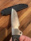 IMG_3983.jpeg