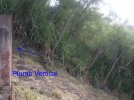 Hill Vert.jpg