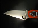 orangefecta 007.jpg