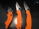 orangefecta 008.jpg
