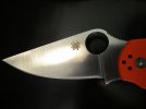 orangefecta 010.jpg