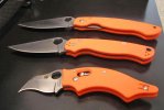 orangefecta 012.jpg