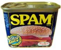 spam-webtrafficroi_com_1.jpg