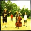 phish4.jpg