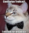 contrarian_trollcat_i_ate_him_for_breakfast_trollcat.jpg