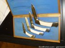 500 bone set 2.jpg
