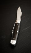 #681213 Pony Jack Ebony warm1 (1 von 1).jpg