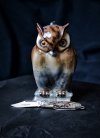 #68 White Owl mit eule.jpg