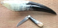 Small Lambfoot Knife Ox Horn 9 .jpg