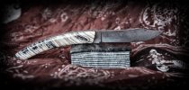 cognet le thiers douk mammutzhn büffelhorn-2.jpg