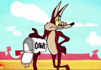 Coyote.jpg