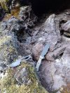 Resized_20211023_180109.jpg