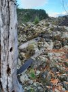 Resized_20211023_173922.jpg