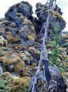 Resized_20211023_175216.jpg