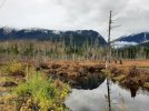 Resized_20211022_152956.jpg